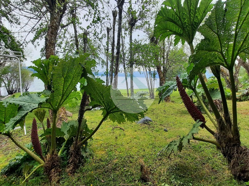 Propiedad Comercial Orilla de lago