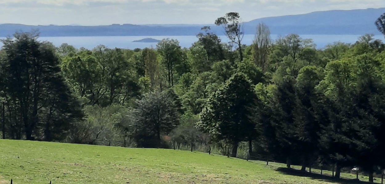 Vende terreno 4 hectáreas en camino Villarrica Pucon, segunda faja